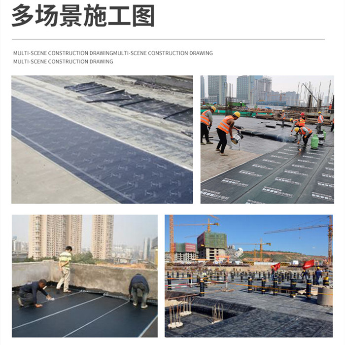 案例展示二